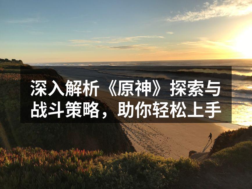 深入解析《原神》探索与战斗策略，助你轻松